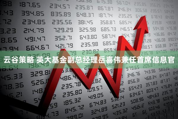 云谷策略 英大基金副总经理岳喜伟兼任首席信息官